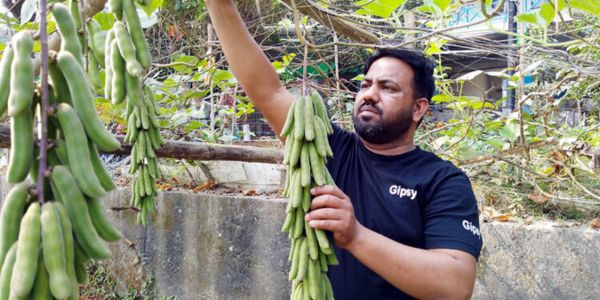 রিপনের ব্যতিক্রমী উদ্যোগে সবজি চাষে সফলতা